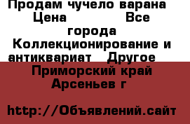 Продам чучело варана › Цена ­ 15 000 - Все города Коллекционирование и антиквариат » Другое   . Приморский край,Арсеньев г.